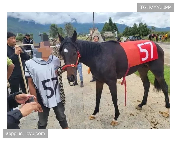 富里睡醒发现自家马场又多了两匹纯血马，账单比拳赛奖金还长