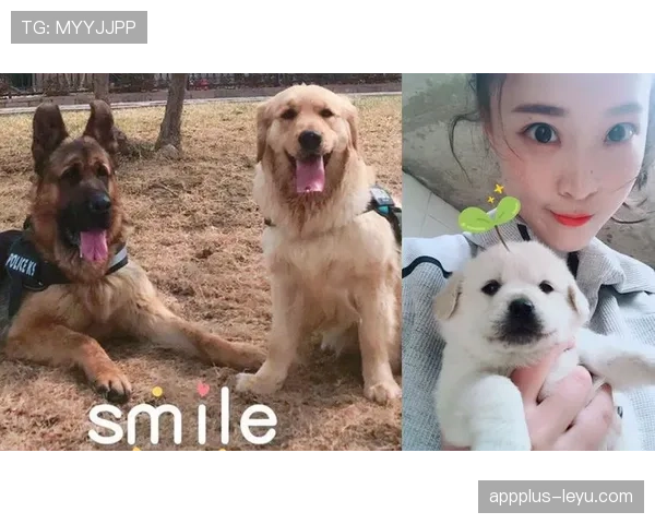 惠若琪随手背个包就像富豪遛狗，我默默清空了购物车